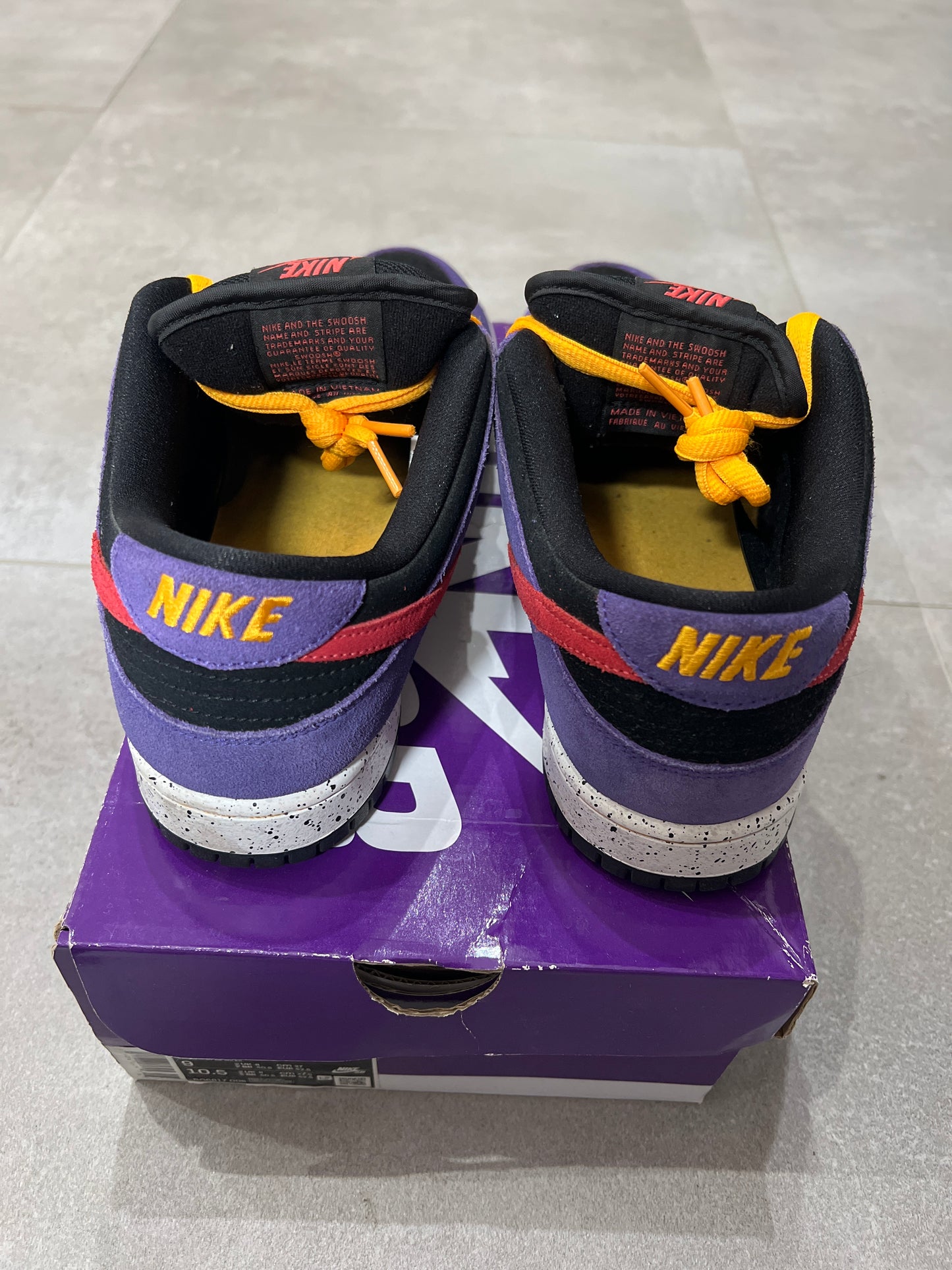 Dunk SB Acg Terra