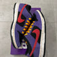 Dunk SB Acg Terra