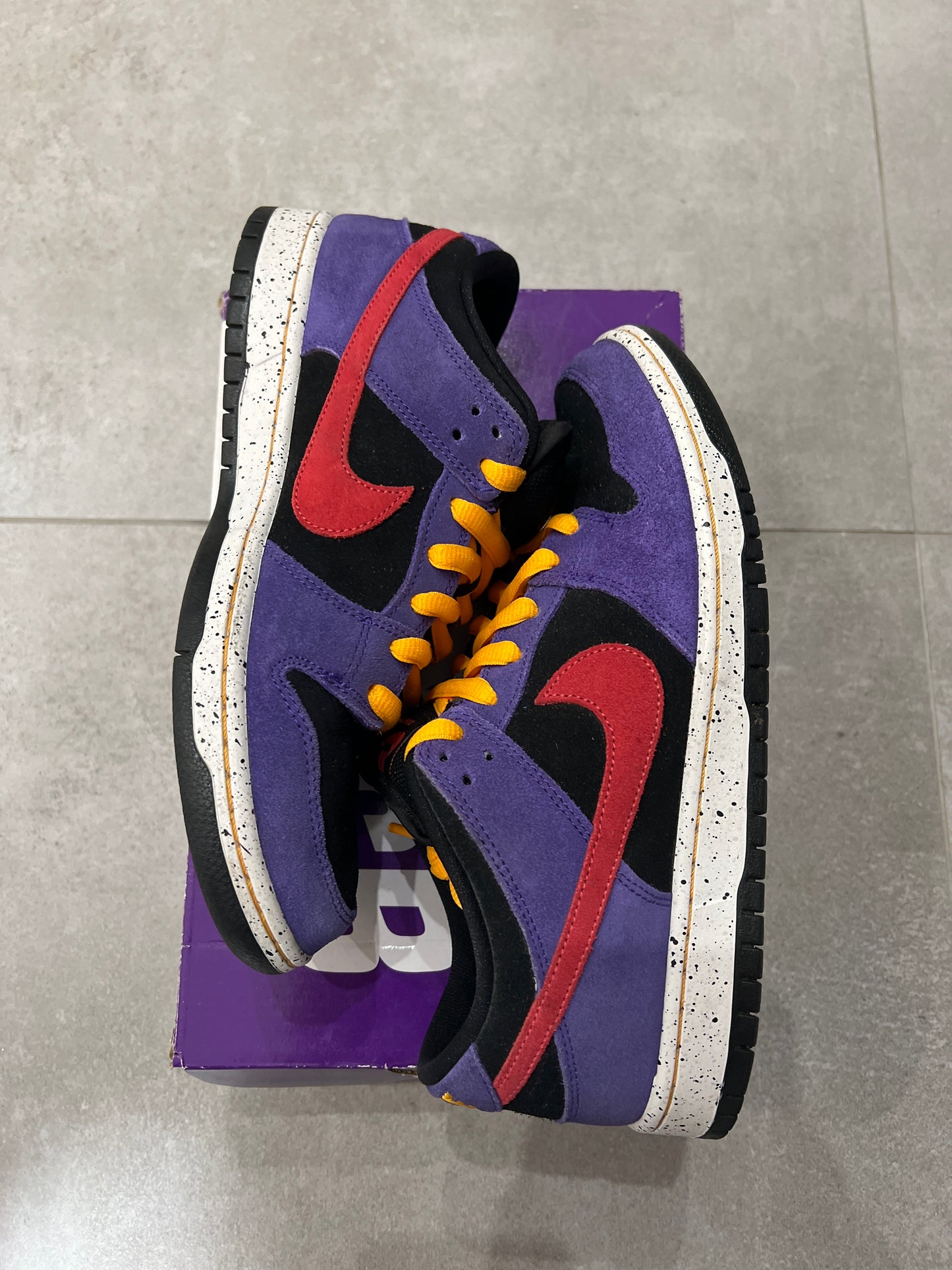 Dunk SB Acg Terra