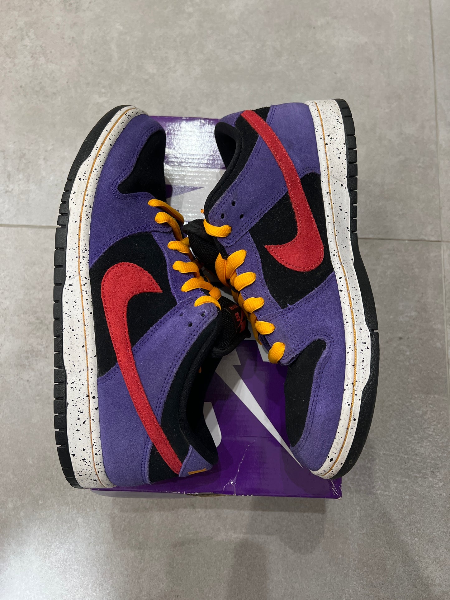 Dunk SB Acg Terra