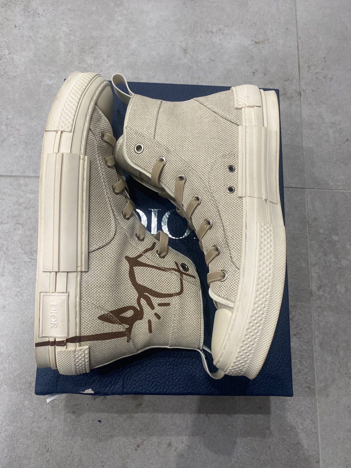 Dior B23 Bee Sneakers x Travis Scott