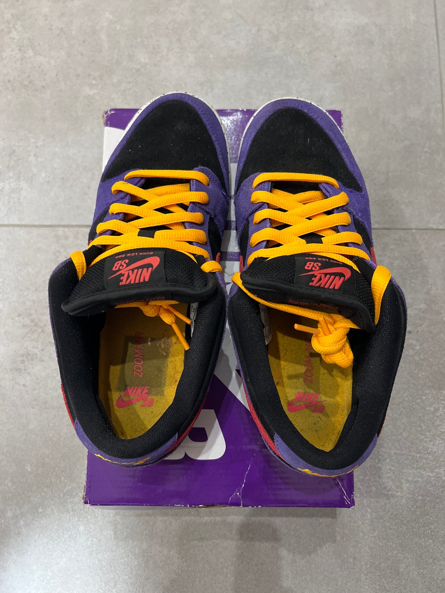 Dunk SB Acg Terra