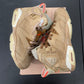 Jordan 6 Retro Travis Scott British Khaki 