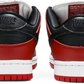 Nike Dunk Low SB Chicago