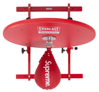 Supreme Everlast Speed Bag & Platform